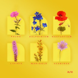 Alex Petrenko - Portfolio