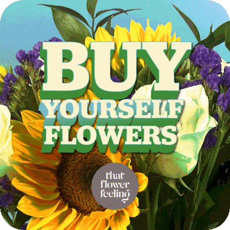 Alex Petrenko - Portfolio