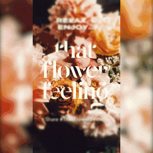 Alex Petrenko - Portfolio