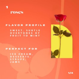 Alex Petrenko - Portfolio