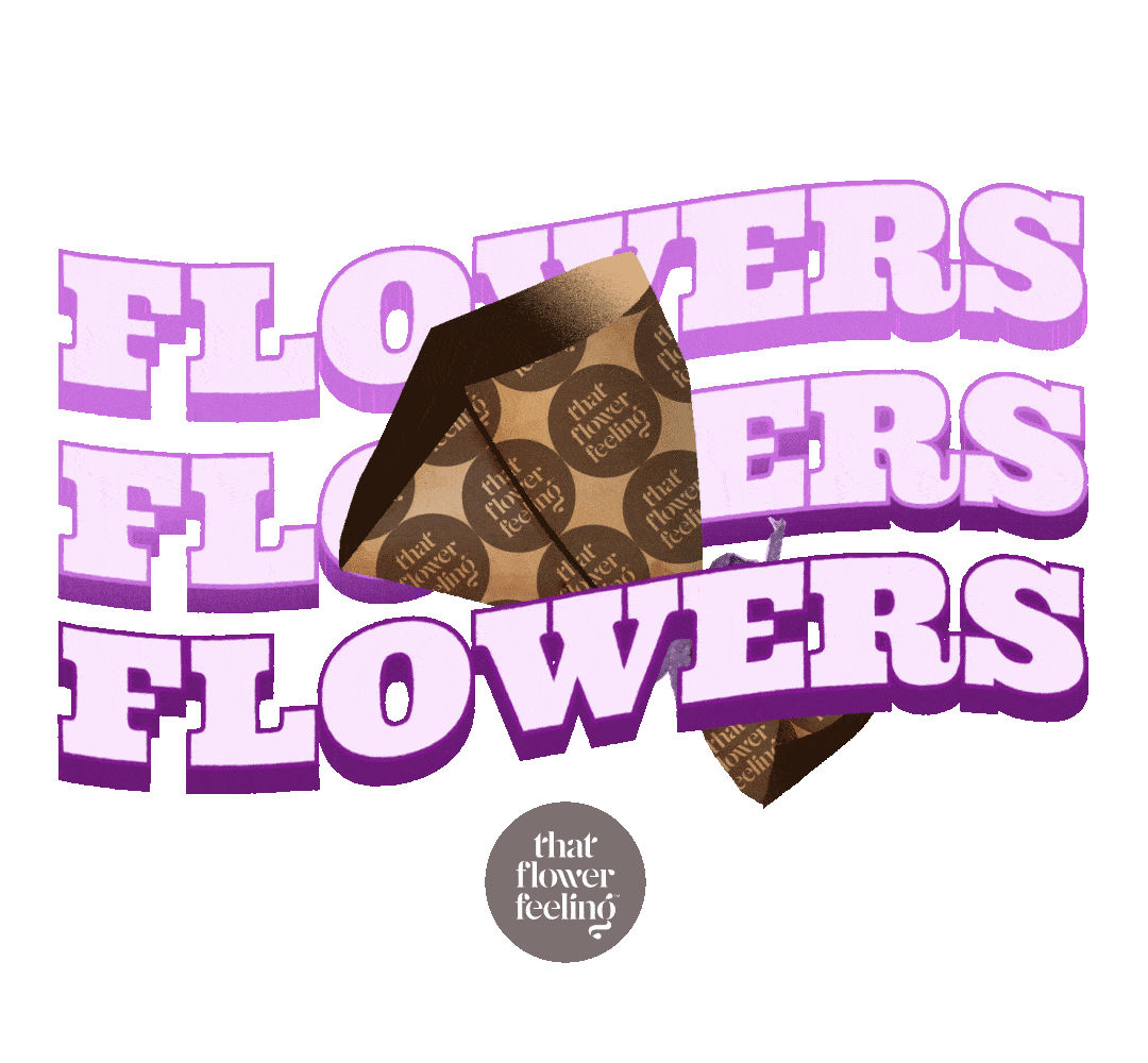 Alex Petrenko - Portfolio