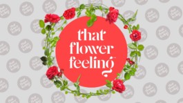 Alex Petrenko - Portfolio