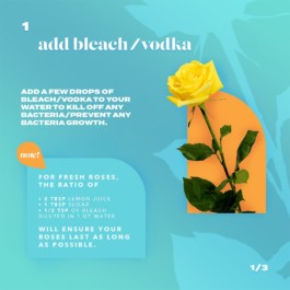 Alex Petrenko - Portfolio