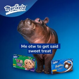 Alex Petrenko - Portfolio