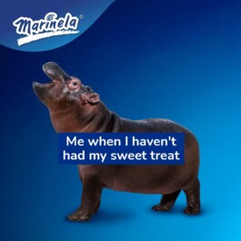 Alex Petrenko - Portfolio