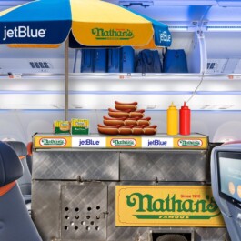 Alex Petrenko - Portfolio